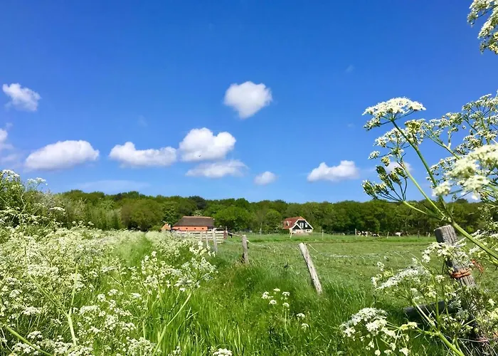 Bed & Bos De 14 Sterren