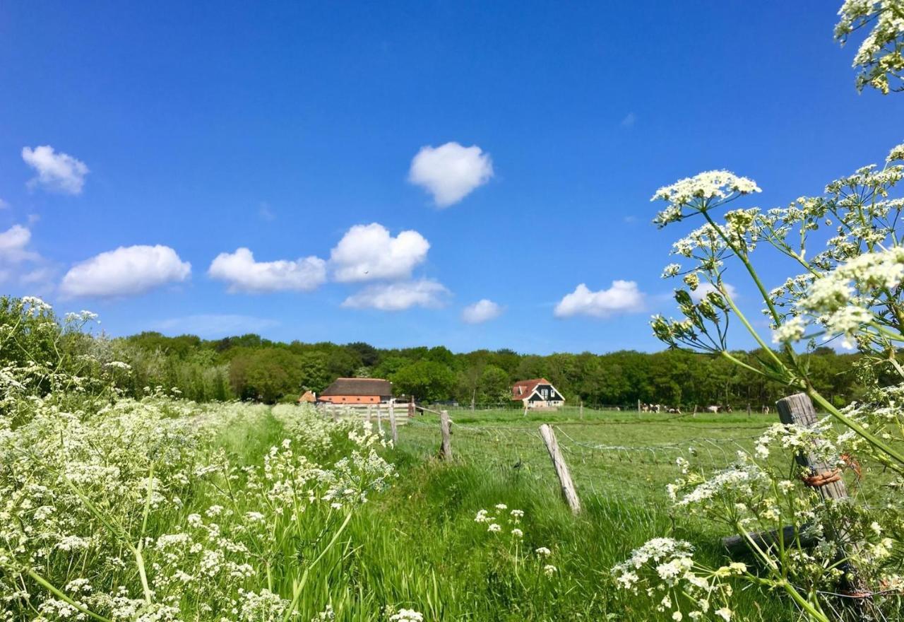 Bed & Bos De 14 Sterren
