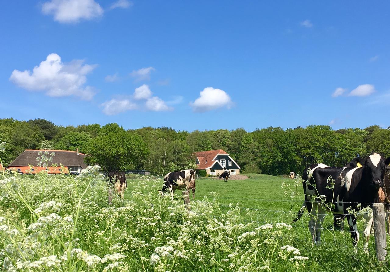 Bed & Bos De 14 Sterren